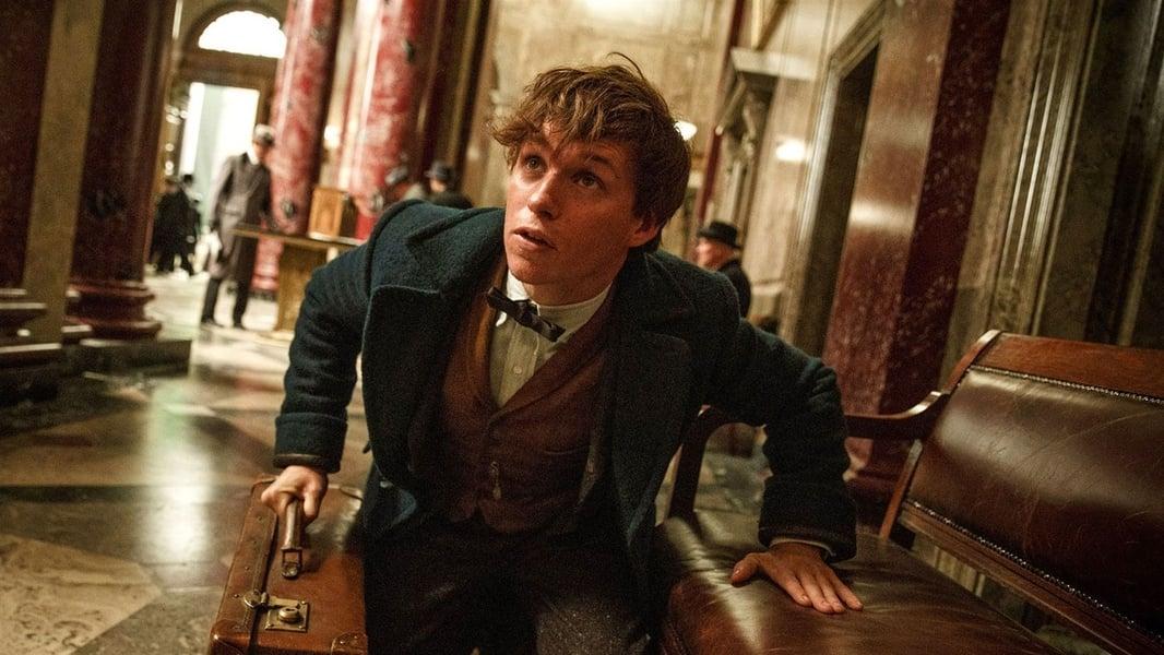 Fantastic Beasts and Where to Find Them Filming Locations: Twin Cities